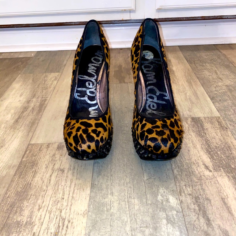 Leopard heals